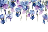 Iris flowers hanging nature petal.