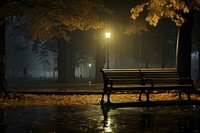 A rainy night bench illuminated outdoors.