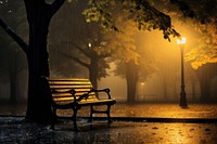 A rainy night bench illuminated autumn.