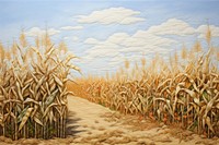 Corn agriculture landscape outdoors.