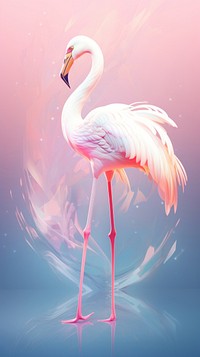 Bird flamingo animal.
