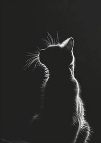 A cat full body animal mammal black.