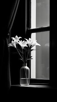 Flowers beside the window monochrome windowsill plant.