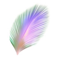 Holography palm leaf purple white background lightweight.