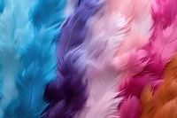 Feather background backgrounds lightweight accessories.