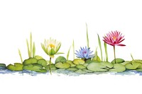 Water lily watercolor border outdoors nature flower.