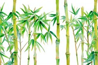 Bamboo watercolor border backgrounds plant freshness.