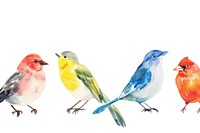 Bird watercolor border animal canary beak.