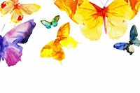 Butterfly watercolor border insect flower petal.