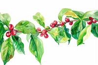 Coffee plant watercolor border cherry leaf tree.