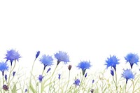 Cornflower watercolor border backgrounds outdoors thistle.