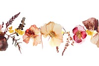 Dried flower watercolor border plant petal white background.
