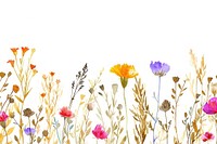Dried flower watercolor border backgrounds outdoors pattern.