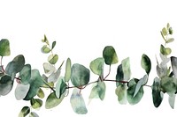 Eucalyptus watercolor border plant leaf white background.