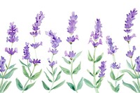 Lavender watercolor border blossom flower plant.