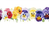 Pansy watercolor border flower plant white background.