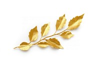 Bruch leaves plant leaf gold.