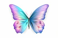 Butterfly simple icon iridescent animal insect white background.