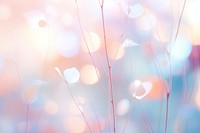 Nature shape pattern bokeh effect background backgrounds abstract outdoors.