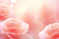 Rose shape pattern bokeh effect background backgrounds abstract flower.