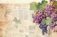 Grapes border plant paper food.