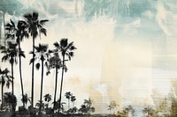 Palm tree landscapes backgrounds outdoors nature.