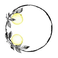 Stroke outline chinese lemon frame drawing circle sketch.