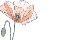 Continuous line drawing poppy flower sketch plant art.