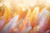 Feather shape pattern bokeh effect background backgrounds outdoors nature.
