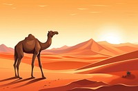 Camel in desert landscape outdoors nature.