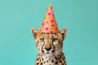 Collage Retro dreamy cheetah party hat wildlife animal mammal.