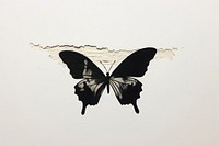 Abstract butterfly ripped paper animal art calligraphy.