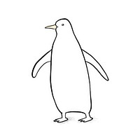 Penguin animal sketch bird.