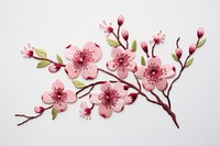 Cherry blossom in embroidery style flower plant inflorescence.