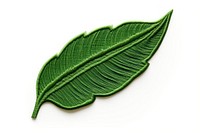 Banan leaf in embroidery style plant freshness clothing.