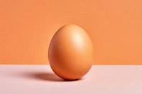 A brown chicken egg celebration simplicity fragility.