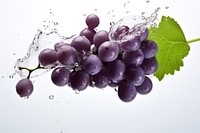Purple grapes with splash falling fruit plant.