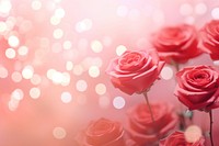 Red rose bokeh effect background backgrounds flower petal.