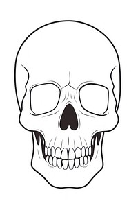 Skeleton skull sketch drawing white background.