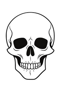Skeleton skull sketch drawing white.