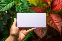  Businesscard plant leaf business card. AI generated Image by rawpixel.