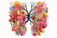 Lungs flower plant white background.
