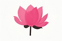 Lotus minimalist form flower petal plant.