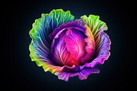 Lettuce icon iridescent vegetable cabbage plant.