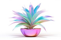 Plant iridescent leaf white background decoration.