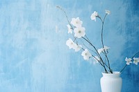 Minimal blue and white blossom flower plant.