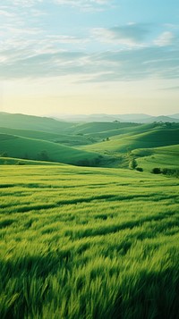 Hill landscape wallpaper grassland outdoors horizon.