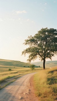 Summer country road landscape grassland outdoors.