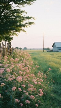 Summer countryside architecture landscape outdoors.