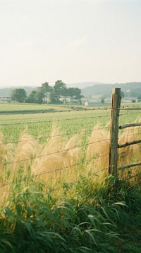 Summer countryside landscape grassland outdoors.